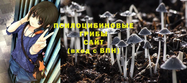 амф Михайловка