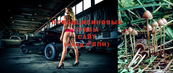 дживик Михайлов