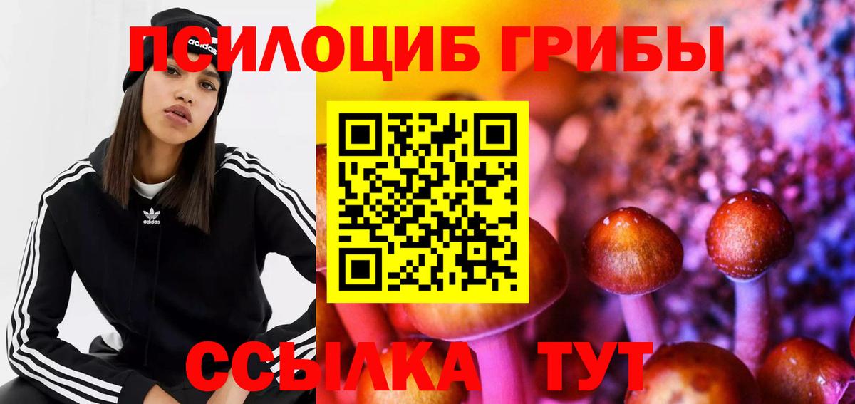 Псилоцибиновые грибы ЛСД  Псилоцибиновые грибы MAGIC MUSHROOMS  Курганинск  Вход с VPN 