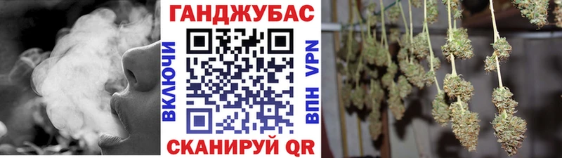 Конопля план  где найти   Курганинск 