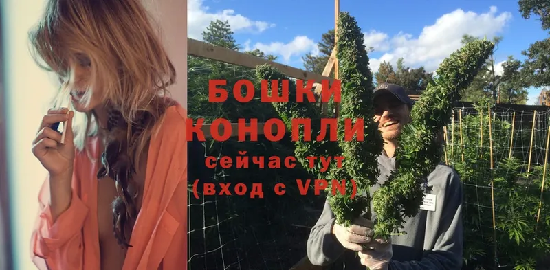 Бошки Шишки Ganja  blacksprut зеркало  мориарти наркотические препараты  Курганинск 